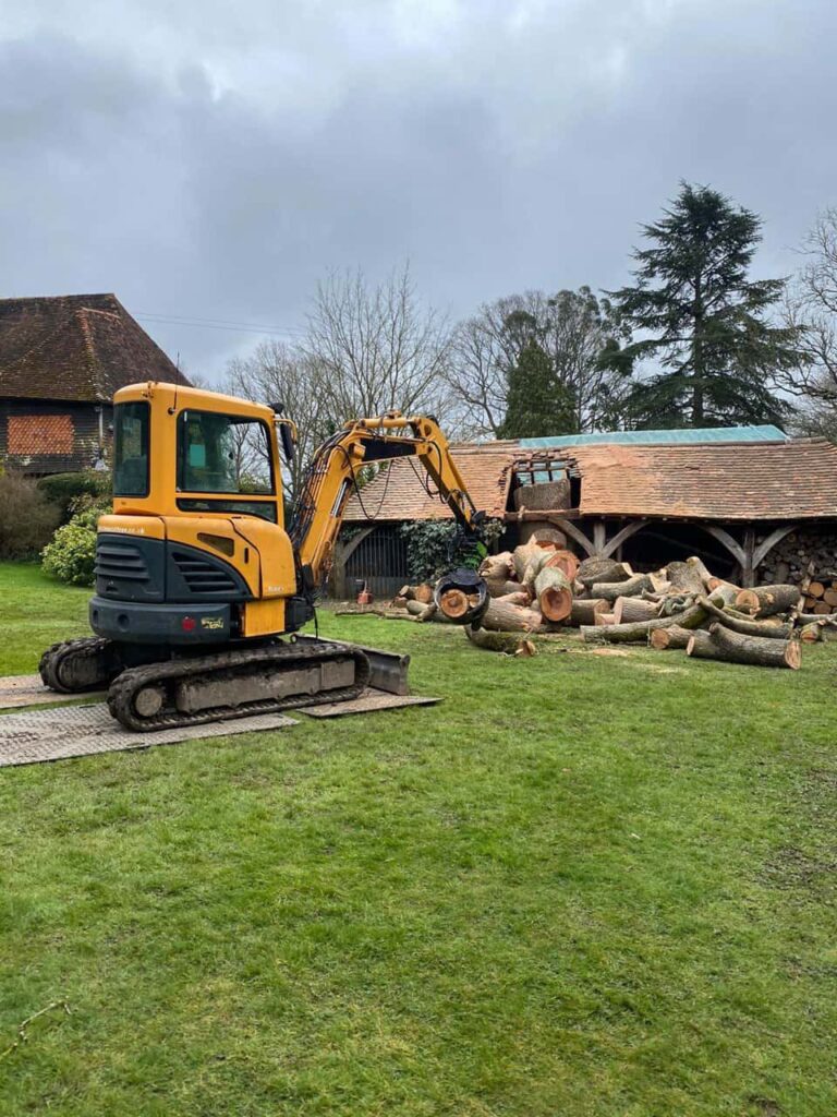 This is a photo of a tree which has grown through the roof of a barn that is being cut down and removed. There is a digger that is removing sections of the tree as well. St Neots Tree Surgeons