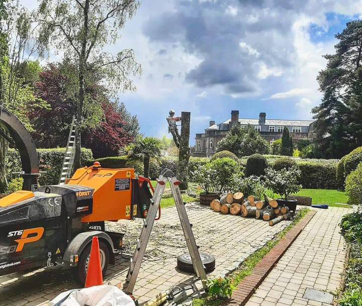 This is a photo of a tree being felled. A tree surgeon is currently removing the last section, the logs are stacked in a pile. St Neots Tree Surgeons