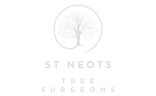 St Neots Tree Surgeons